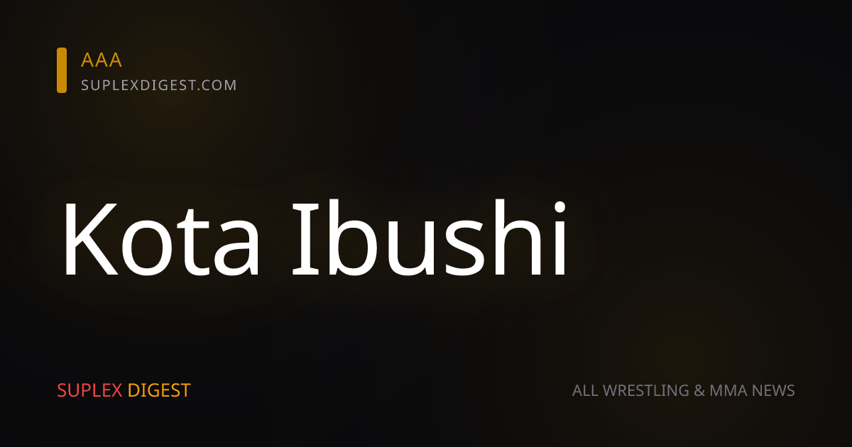 Kota Ibushi reapareció en función de DDT